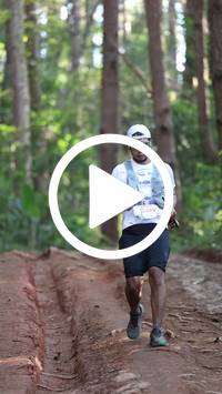 BIB:  <button type="button" onclick="openModal(26569884)" class="btn btn-primary btn-sm float-right" data-toggle="modal" data-target=".modal-high-quality">
                <i class="fa fa-download"></i> Download
                </button>